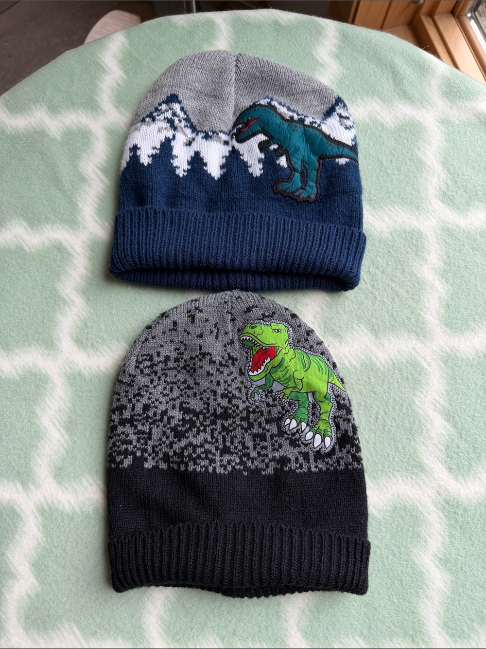 2 Kids Dino Beanie Hats - Gray & Blue